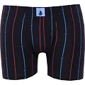 Pruhované boxerky s modalem